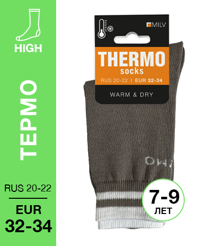 203 High. Носки детские Термо. RUS 21/EUR 32-34 (зола)